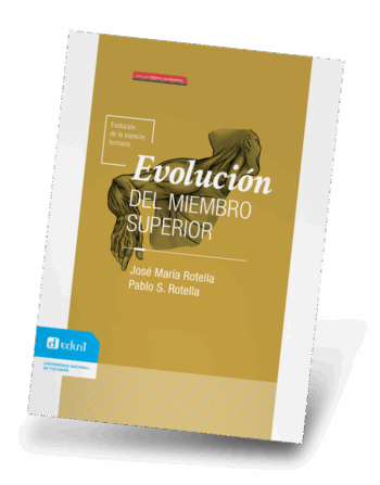 Evolución de la especie humana. Evolución del miembro superior
